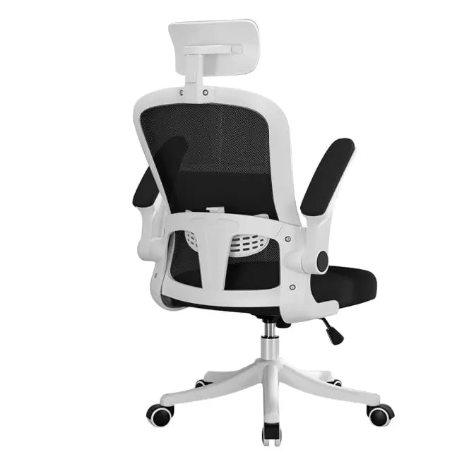 Office Chair - Business Office Chair - Swivel Ergonomic Office Chair With Back Support +  Relaxio.